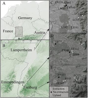 Groundwater Extraction in Floodplain Forests Reduces Radial Growth and Increases Summer Drought Sensitivity of Pedunculate Oak Trees (Quercus robur L.)